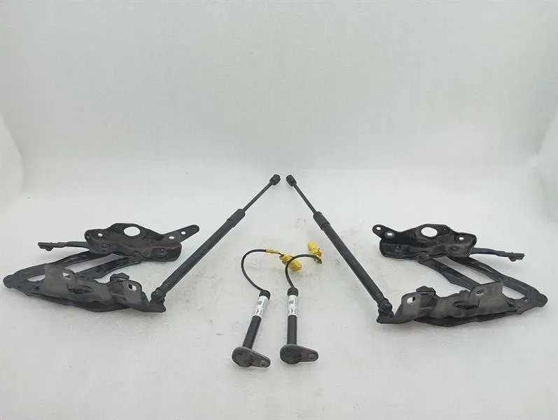 Bentley Continental GTC 18-24 3S 3SD Bonnet Hinge Set 3SA898001 Hood Hinge