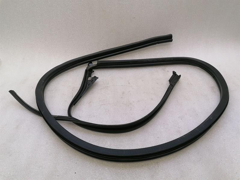 Aston Martin DB9 Volante Left Door Seal 4G43-F20709-BH Left Door Seals