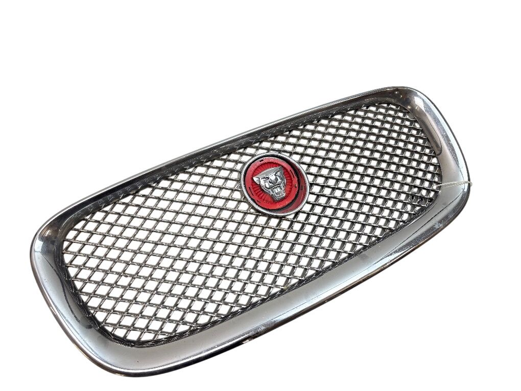 C2Z13175 Radiator Grille JAGUAR XF (X250, CC9) (2008-2015)