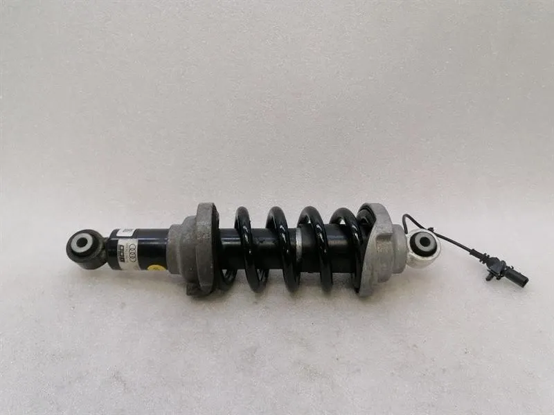Lamborghini Huracan shock absorber rear 4T0512019S shock absorber rear