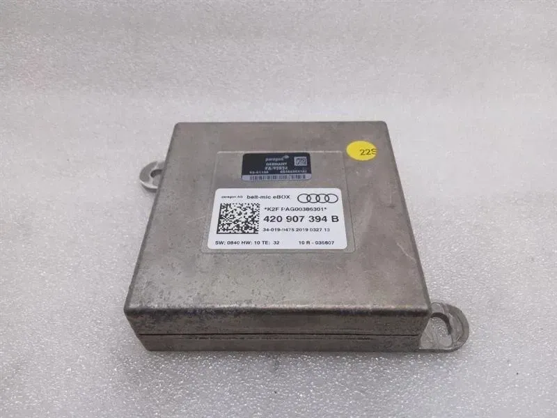 Audi R8 4S AWD electronic module 420907394B control unit