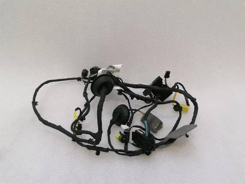 Ferrari Roma F169 Wiring Loom 963412 RH DOOR Wiring Harness