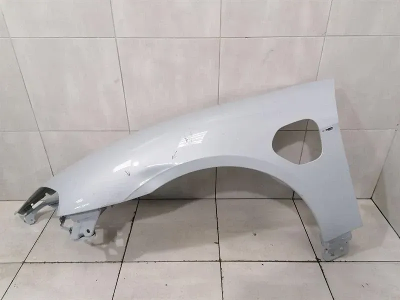 Porsche Taycan 9J Left Wing 9J1821101AY POWER DOOR Fender Left Faulty-