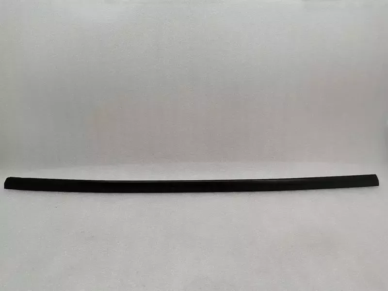 TESLA MODEL 3 STANDARD RANGE Door Seal 1090504-00-F Door Seals REAR RIGHT
