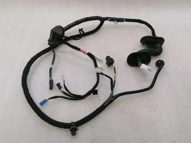 TESLA MODEL 3 STANDARD RANGE RRH Door Wiring Loom 2067966-00-B Tur Hi Harness