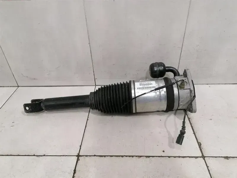 Bentley Continental GT W12 shock absorber rear 3W8616001 shock absorber rear