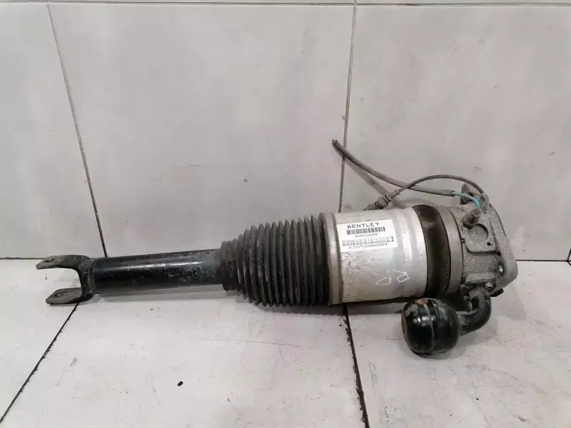 Bentley Continental GT W12 Shock Absorber RRH 3W0616002B Rear Shock Absorber