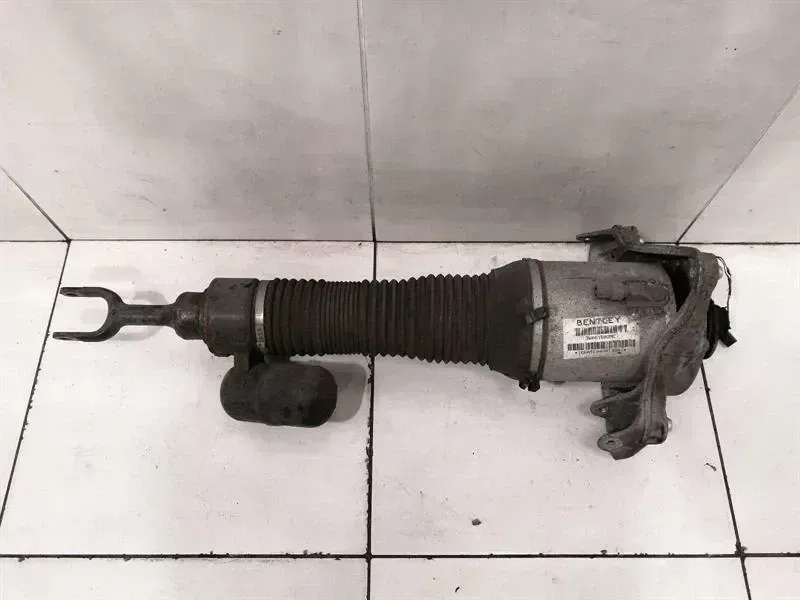 Bentley Continental GT Shock Absorber Front 3W0616039C Shock Absorber Front Left
