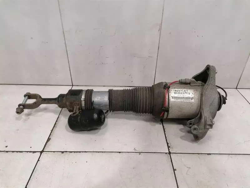 Bentley Continental GT Shock Absorber Front 3W0616039C Shock Absorber Front Left