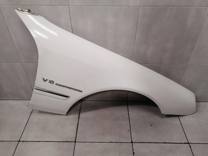 Mercedes CL W215 Right Wing A2158800218 Front Right Fender