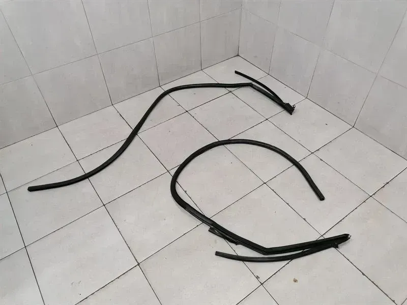 Audi R8 Type 42 V10 5.2 Spyder door seal set 427831707 door seals set