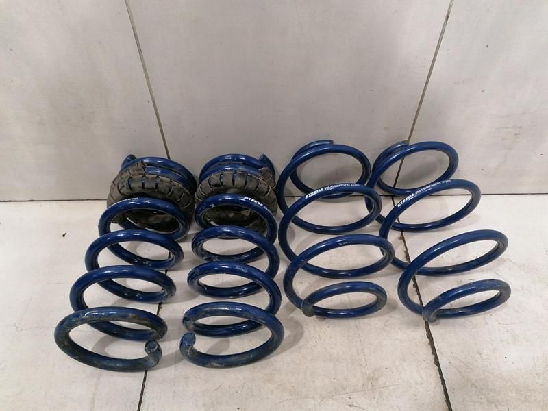 Ford Mustang MK6 coil spring rear steeda 396-5550 suspension spring rear