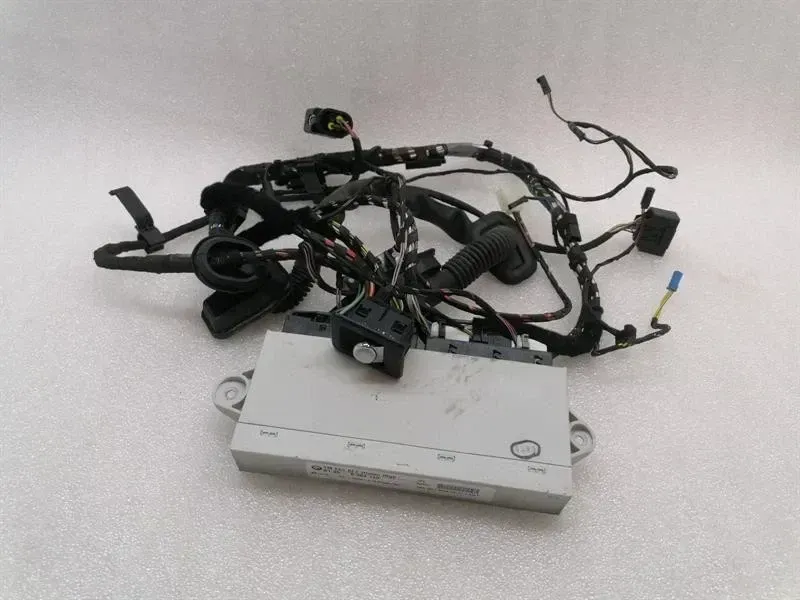 Rolls Royce Phantom MK7 VII 7 electronic module 6964140 RL DOOR controller wire