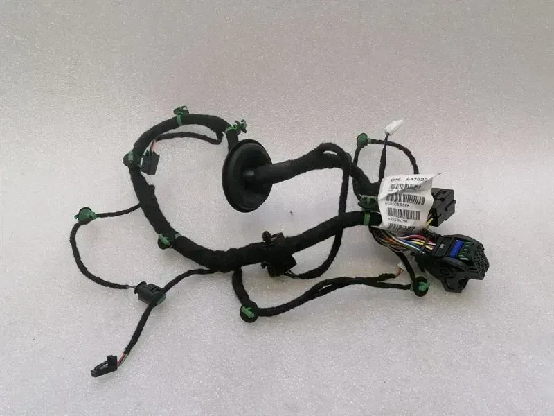 Ferrari Purosangue F175 Wiring Loom 847923 RR DOOR Wiring Harness