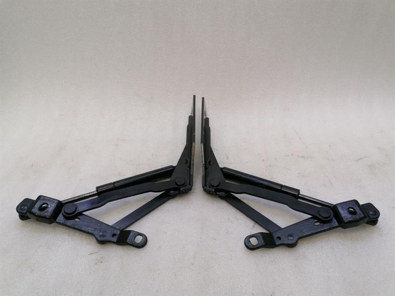 Ferrari Portofino F164 boat hinge 816292 816293 tailgate hinge