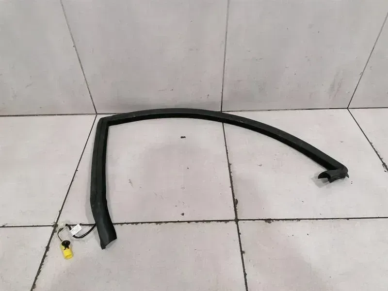 Aston Martin Rapide 10-14 Door Seal ED43-F20709-FA REAR HEATED Door Seals