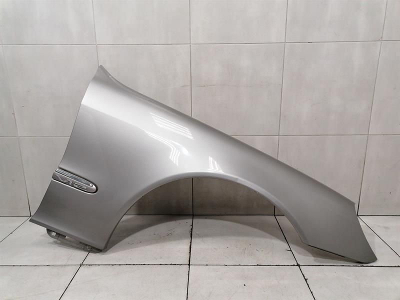 Mercedes S-class W220 Right Wing A2208800418 Front Right Fender