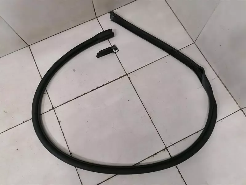 BMW i8 Hybrid Door Seal 51767312985 Door Seals LEFT DOOR LEFT DOOR