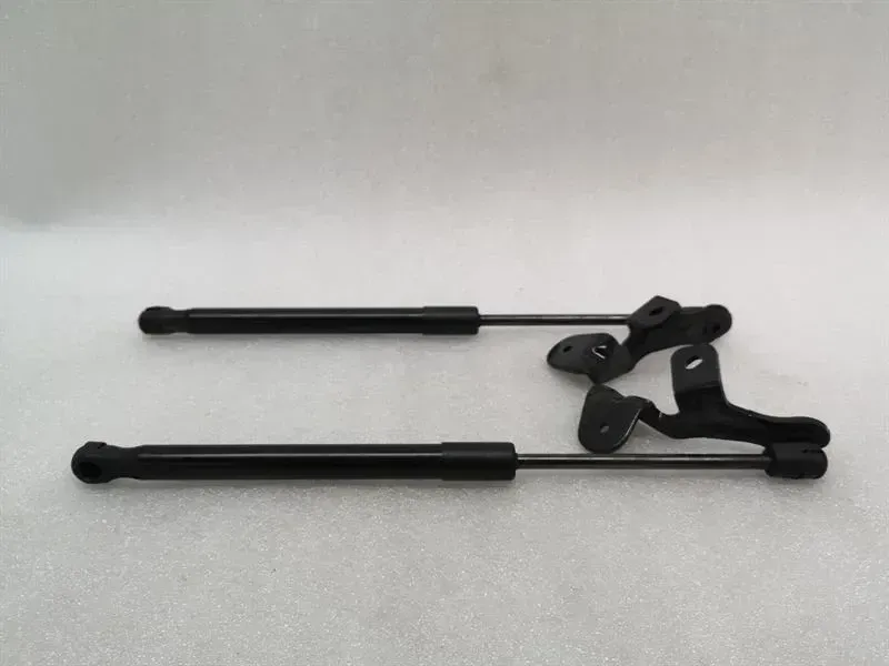 Tesla Model 3 Long Range Bonnet Strut set 1089586-00-C hood hinge set