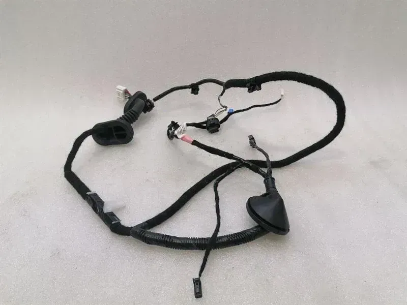 TESLA MODEL 3 STANDARD RANGE RR DOOR Wiring Loom 2067966-00-A Wiring Harness HR TUR