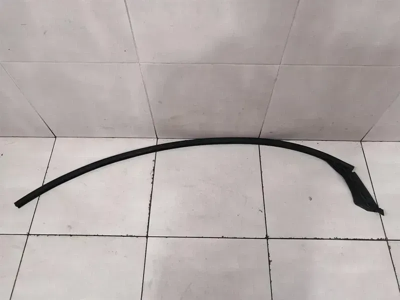Tesla Model X P100D FRH Door Seal 1032146-00-C Front Right Door Seals