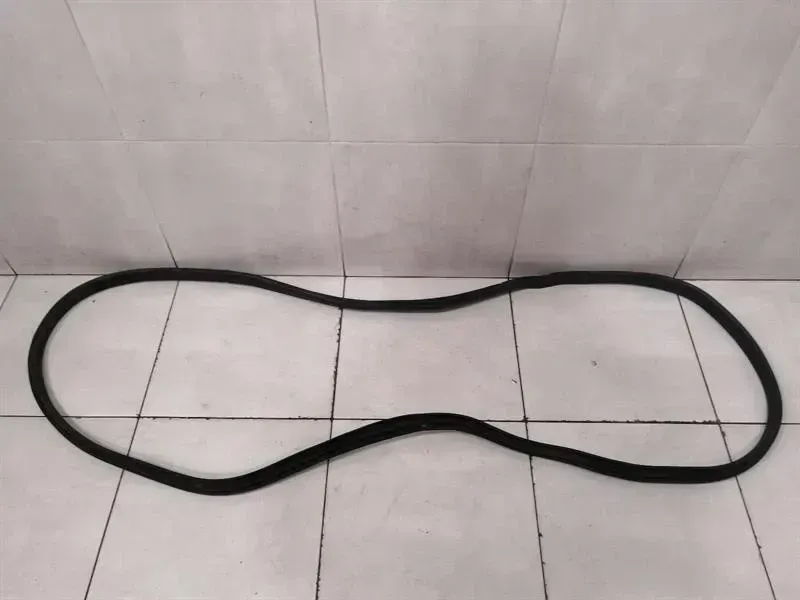 Tesla Model X P100D FLH Door Seal 1032117-00-D Door Seals Front Left