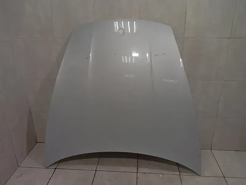 Porsche Taycan 9J Bonnet 9J1823031AYGRV Bonnet