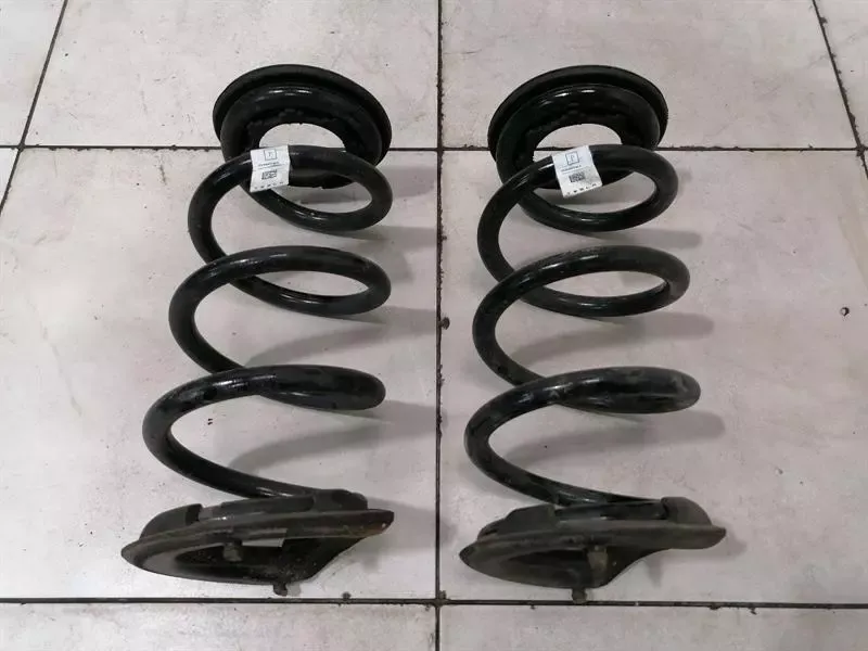 Tesla Model 3 Performance Rear Spring Set 1044472-04-A Rear Suspension Spring
