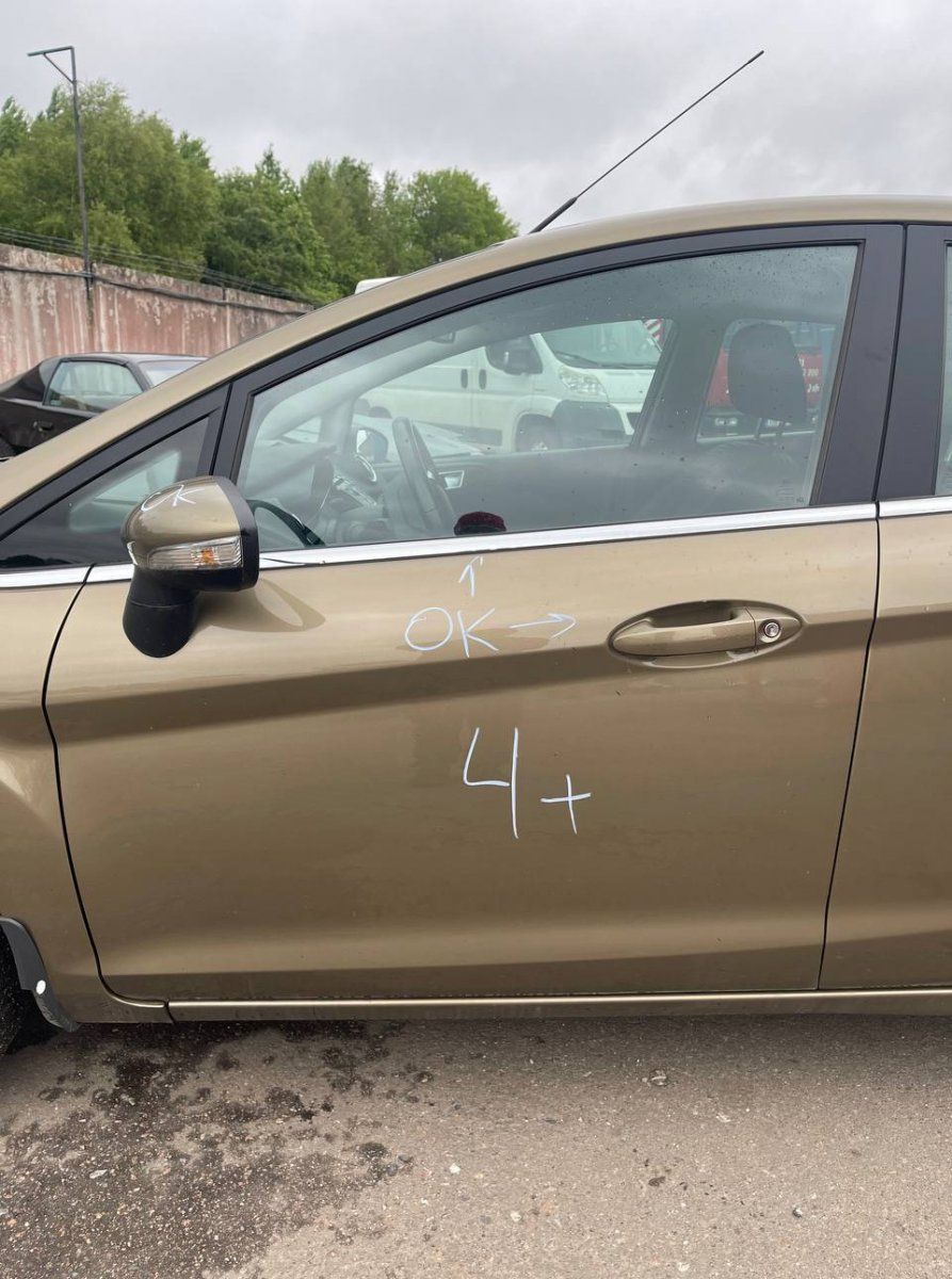 Door Front Left FORD FIESTA VI (2008-2017)