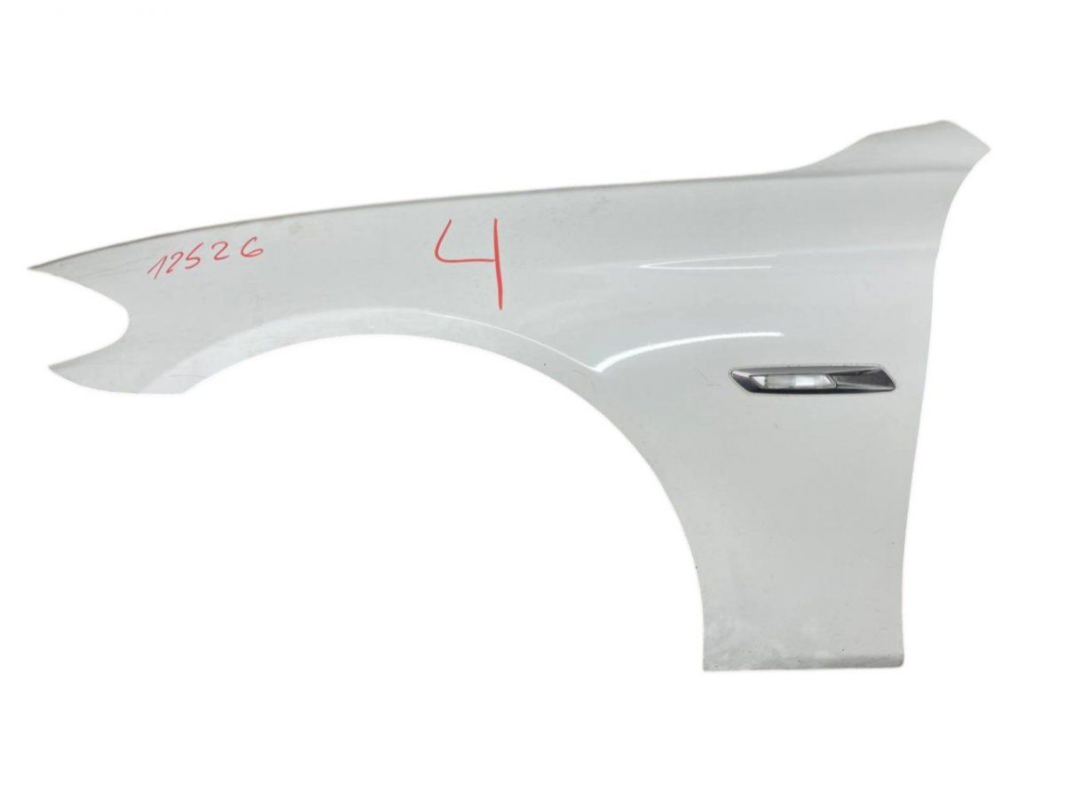 7248659 Fender Front Left BMW 5 (F10, F11) (2010-2017)
