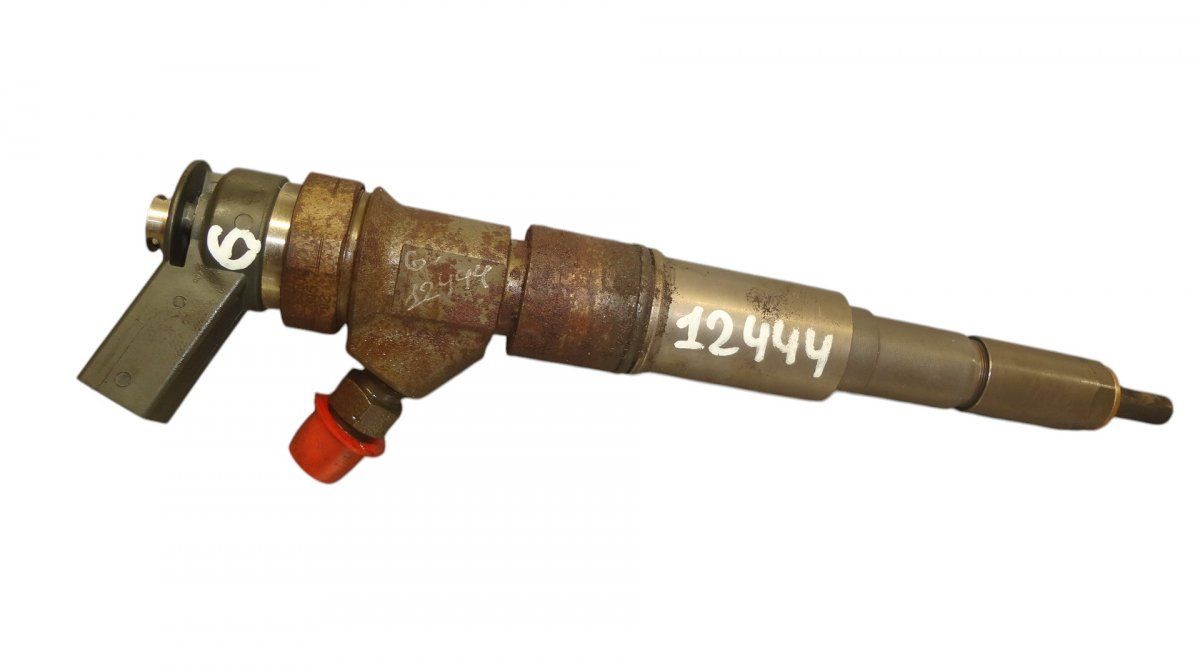 0445110131 Fuel Injector BMW X5 (E53) (2000-2007)