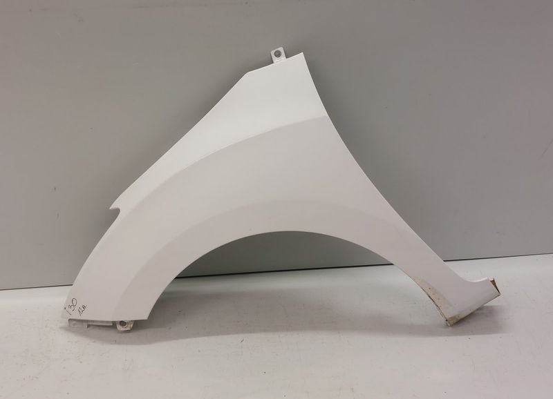 66311A6000 Fender Front Left HYUNDAI i30 II (GD) (2011-2017)