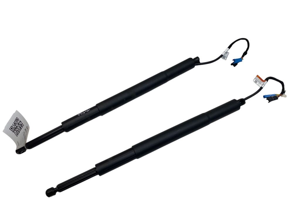 51248494106 Bootlid / tailgate strut set BMW 5 (G30, G31) (2016-2024)