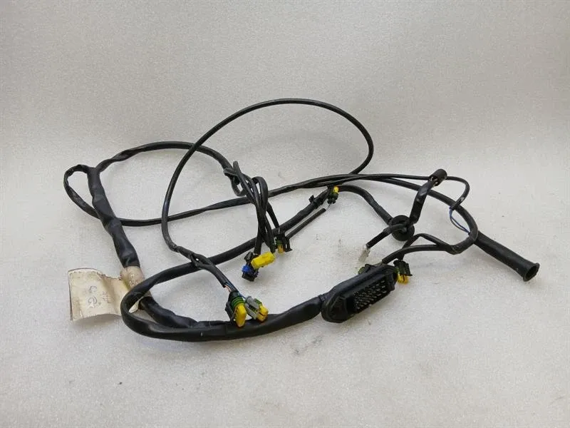 Ferrari 360 F131 Wiring Loom 201104 LH DOOR Wiring Harness Door
