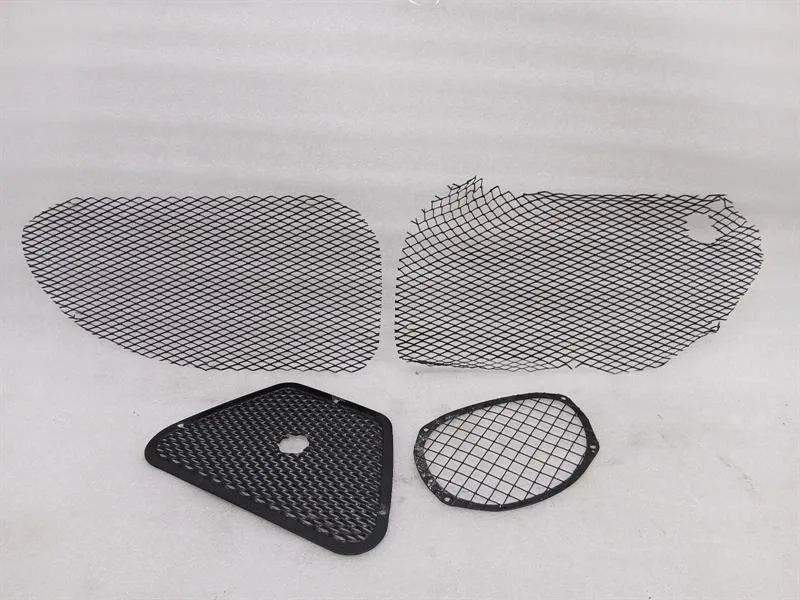 Ferrari 360 F131 Front Grille 65871100 Radiator Grille