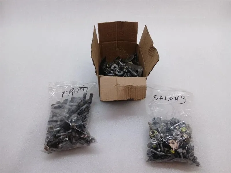 FERRARI 360 F131 SCREWS BOLTS FROM ONE CAR SET BOLTS