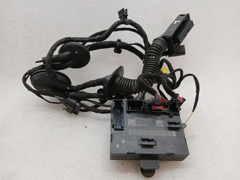 Lamborghini Huracan Performante Wiring Loom 4T2971030F LH DOOR RHD