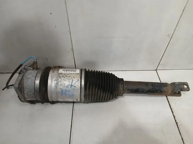Bentley Flying Spur shock absorber rear 3W5616002B right shock absorber rear