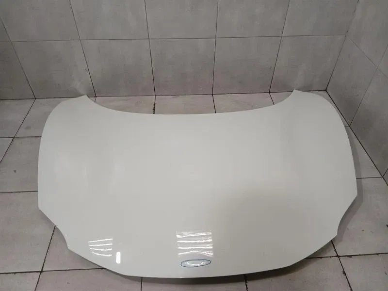 Ferrari 296 GTB 296GTB F171 Bonnet 985952573 Bonnet