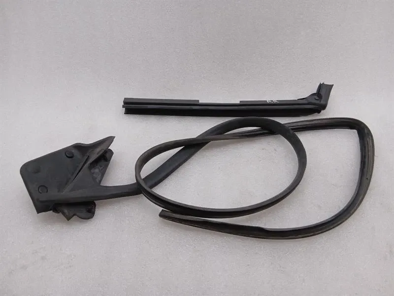 Aston Martin Vanquish AM310 door seal RH REAR door seals rear right