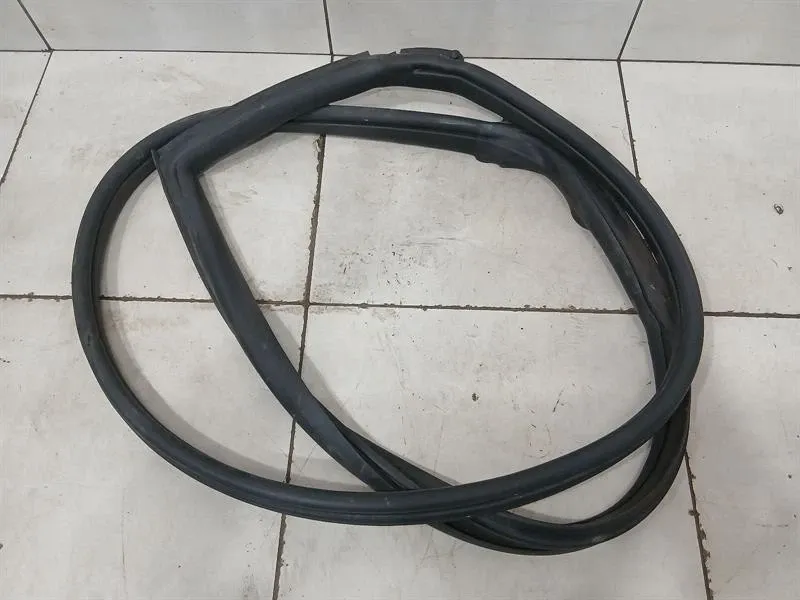 Aston Martin Vanquish S 04-07 Door Seal 1R12-770115-AD LH DEFECTS Door Seals