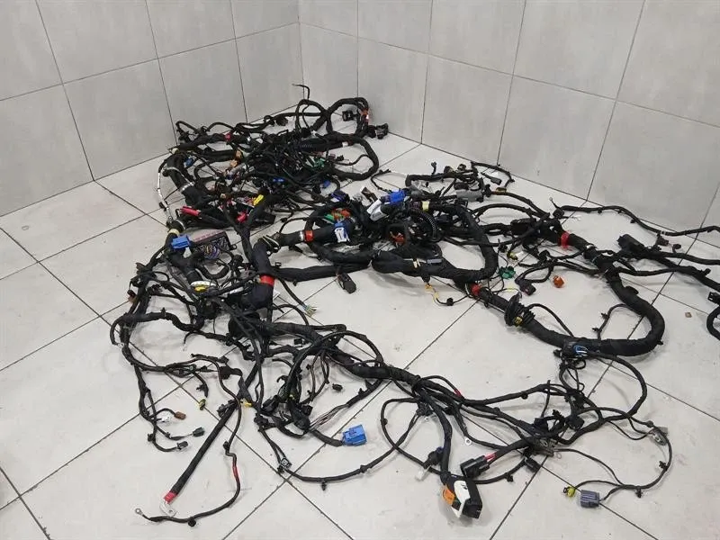 FERRARI 296 GTS F171 WIRING LOOM MAIN BODY LHD Wiring Harness HARNESS 941572