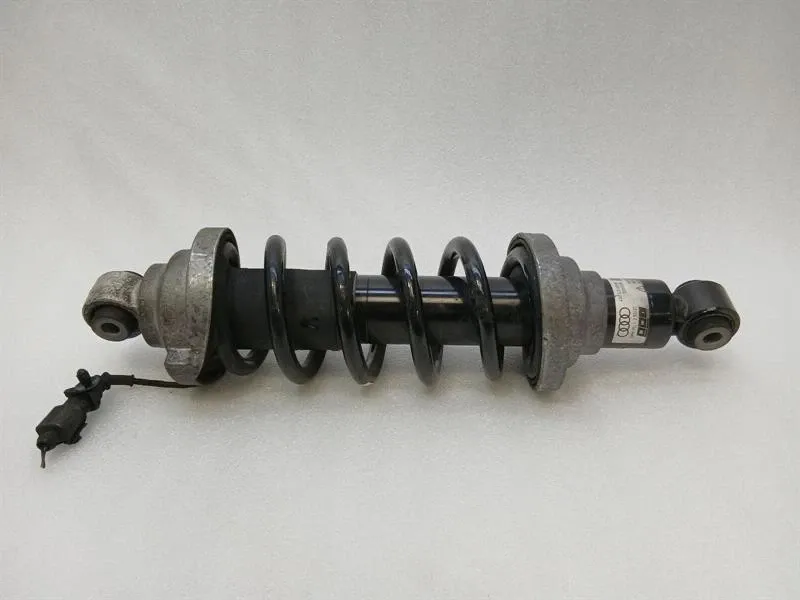 Audi R8 4S Performance shock absorber rear 4S0512019M shock absorber rear EDC