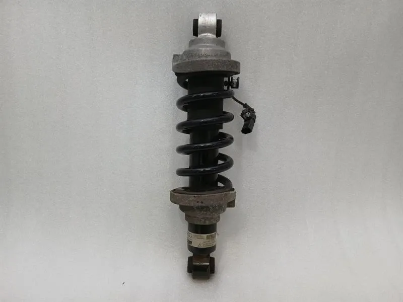 Lamborghini Huracan LP640 EVO shock absorber rear 4T7512019D shock absorber rear