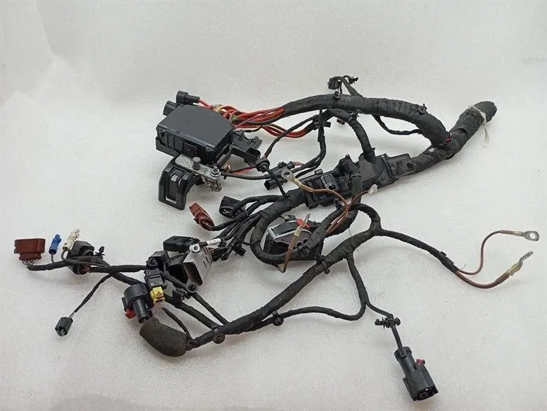 Porsche Taycan 9J part section wiring harness 9JA998022 wiring harness