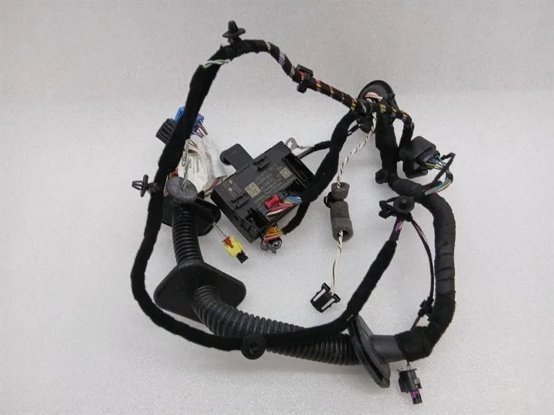 PORSCHE CAYMAN 718 GT4 WIRING LOOM 9P4971030AQ Wiring Harness PASSENGER DOOR