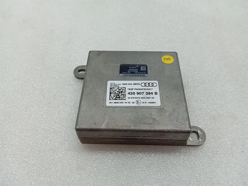 Audi R8 4S V10 RWD electronic module 420907394B control unit