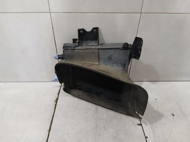 20 Mercedes G-Class W463 Water Radiator A0995005900 RH Water Cooler A4635009400