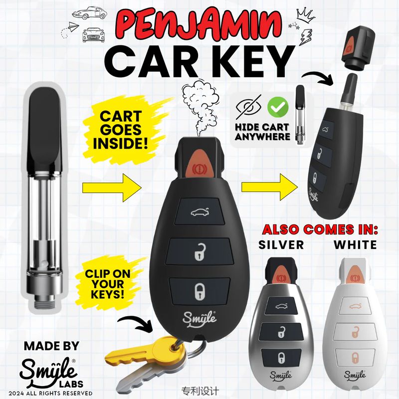 Penjamin Cart Pen Car Key by Smyle™ Labs