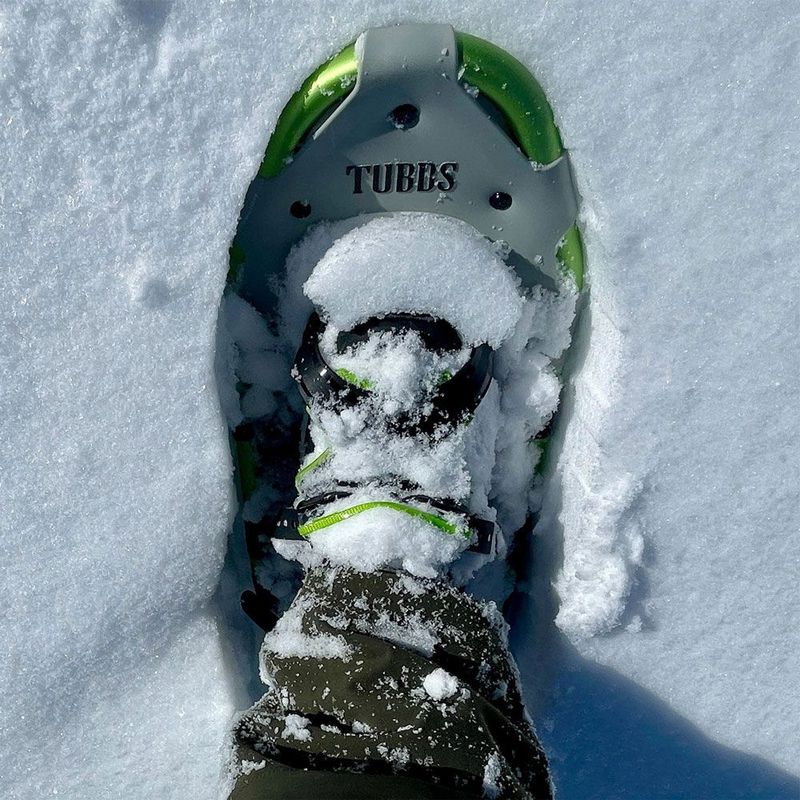 Snowshoes